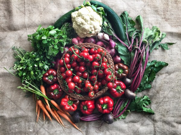 My haul from the farmers market - mycustardpie.com