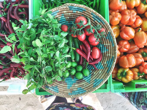 Visiting IGR farm to buy tomatoes and local veg on mycustardpie.com