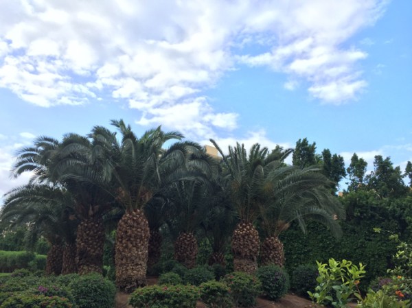 The grounds of the Movenpick Dead Sea Resort in Jordan on mycustardpie.com