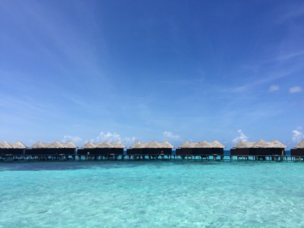 Going to the Maldives-on mycustardpie.com
