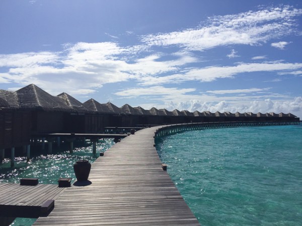 Going to the Maldives-on mycustardpie.com