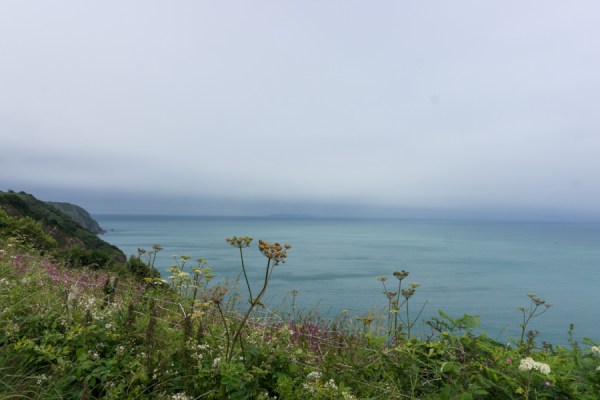 Clovelly to Hartland Quay on the South West Coast path on mycustardpie