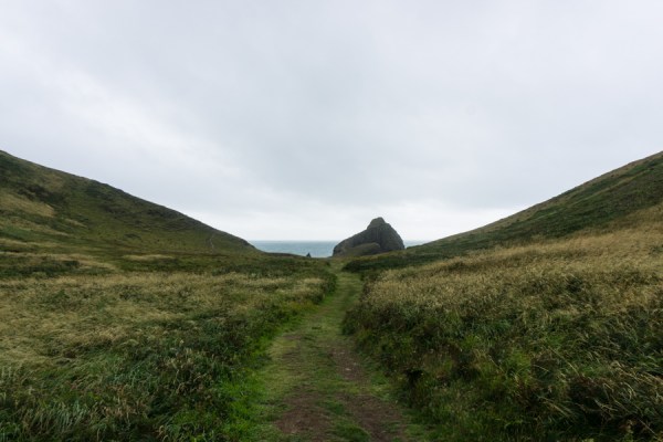 Clovelly to Hartland Quay on the South West Coast path on mycustardpie