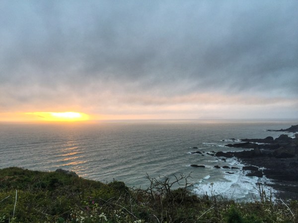 Clovelly to Hartland Quay on the South West Coast path on mycustardpie
