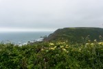 Hartland Quay to Bude on the South West Coast path on&nbsp;mycustardpie