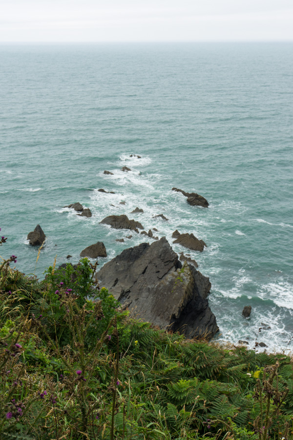 Hartland Quay to Bude on the South West Coast path on mycustardpie