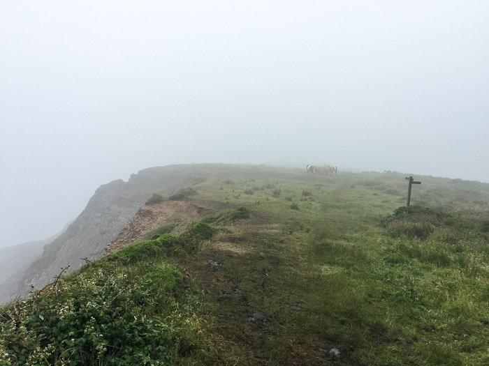 Hartland Quay to Bude on the South West Coast path on mycustardpie
