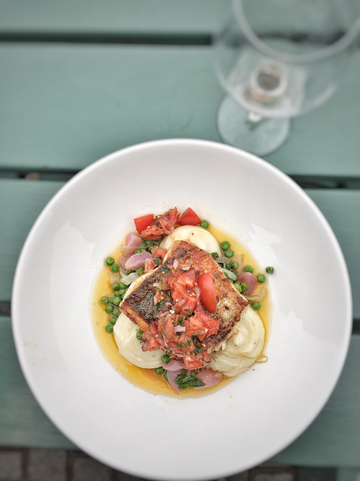 Hartland Quay to Bude on the South West Coast path on mycustardpie