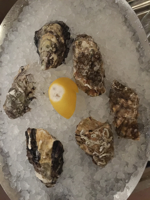 Food tours in Dubai. Read about the best ones on mycustardpie.com