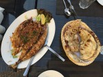 food-tours-in-dubai-5765