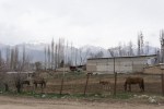 Kyrgyzstan-17