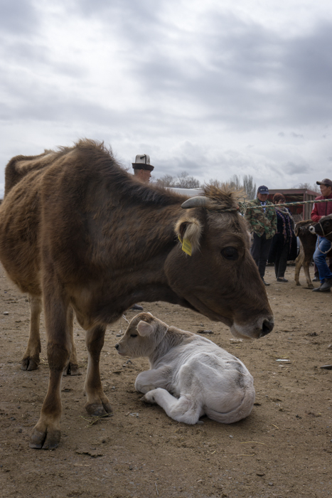 Hiking and exploring in Kyrgyzstan
