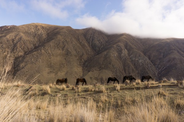Hiking and exploring in Kyrgyzstan