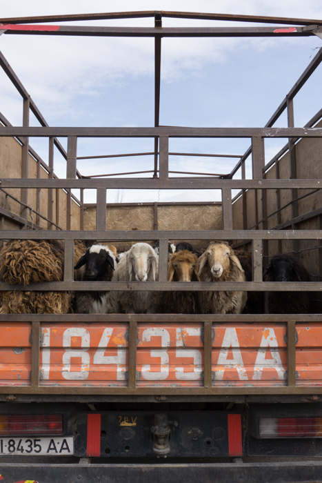 Hiking and exploring in Kyrgyzstan