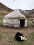 Kyrgyzstan yurt ours-2