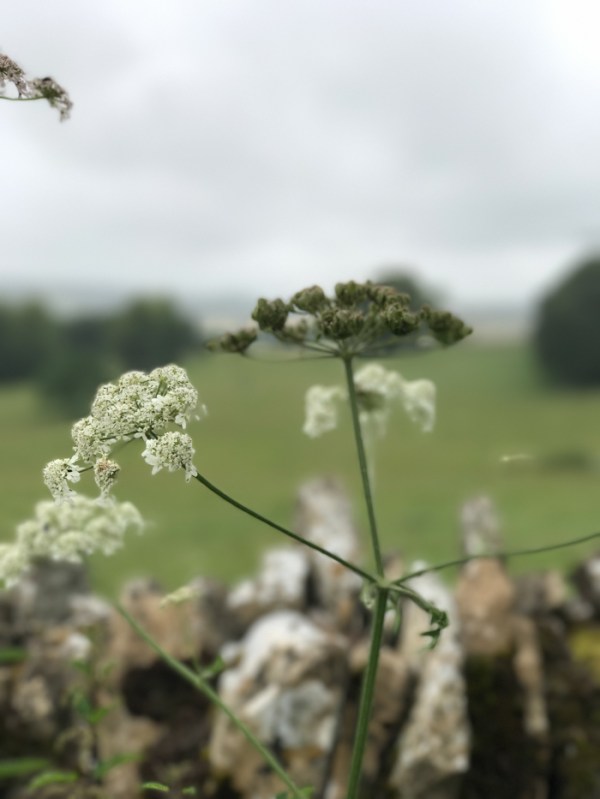 Beating Imposter Syndrome on mycustardpie.com