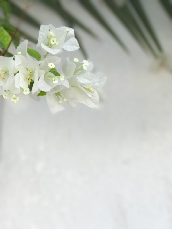 Beating Imposter Syndrome on mycustardpie.com