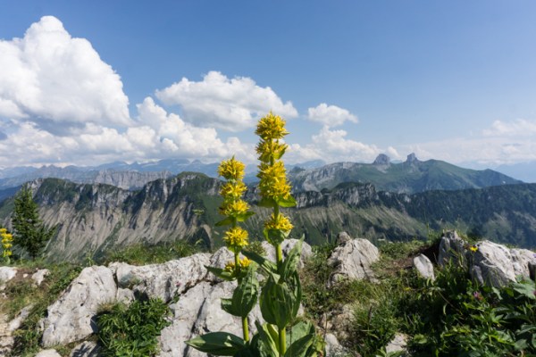 A train ride to Rochers de Naye, Vaud, Switzerland