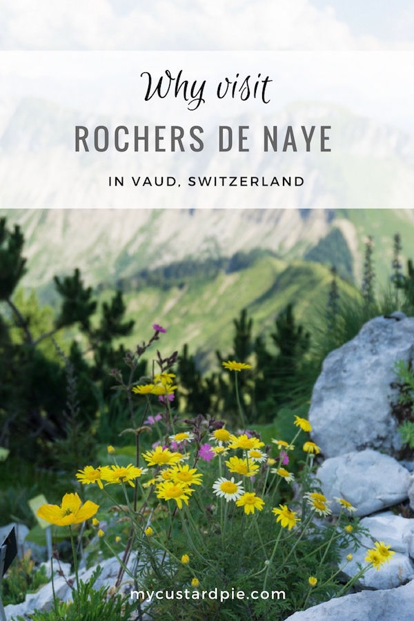A visit to Rochers de Naye, Vaud, Switzerland