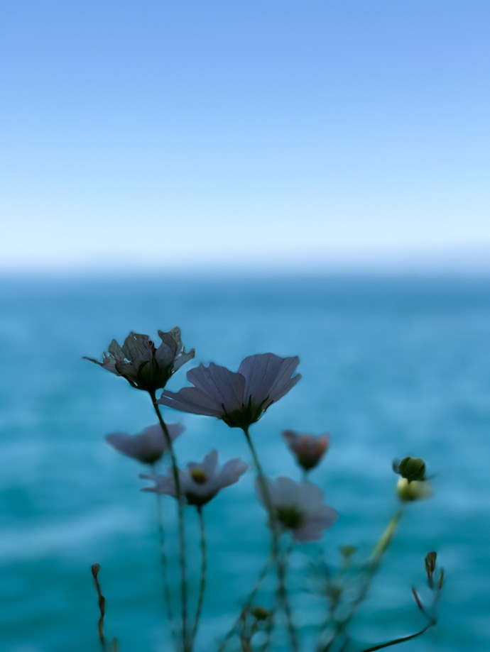 Boat ride on Lac Leman