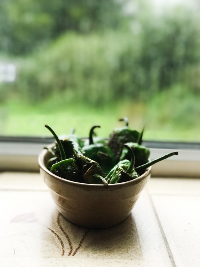 Padron peppers