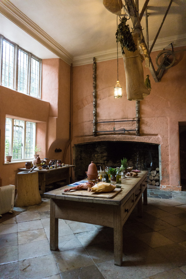 Andrew Logan at Buckland Abbey