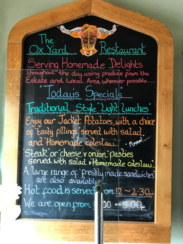 Andrew Logan at Buckland Abbey