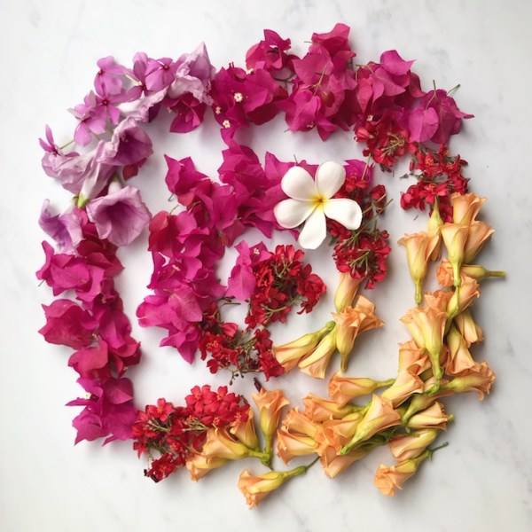 The best Instagram course