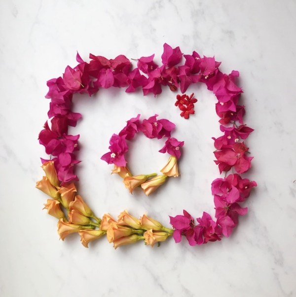 The best Instagram course