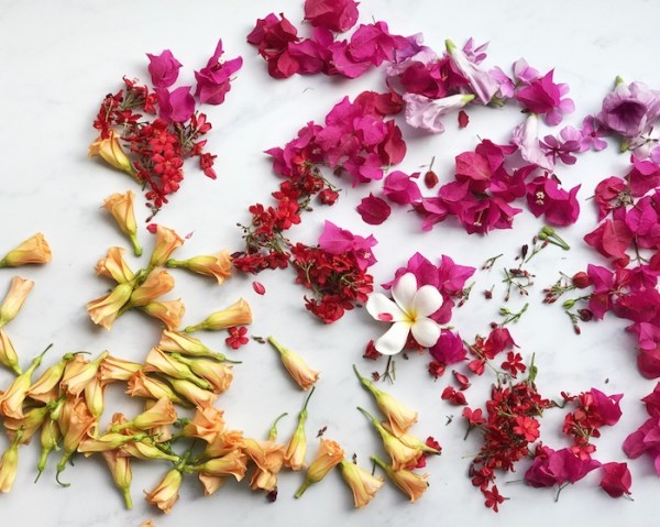 The best Instagram course