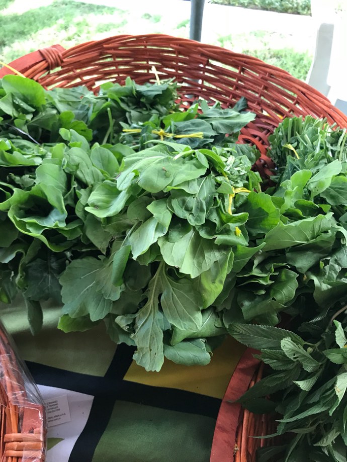 Whats in season in the UAE in October