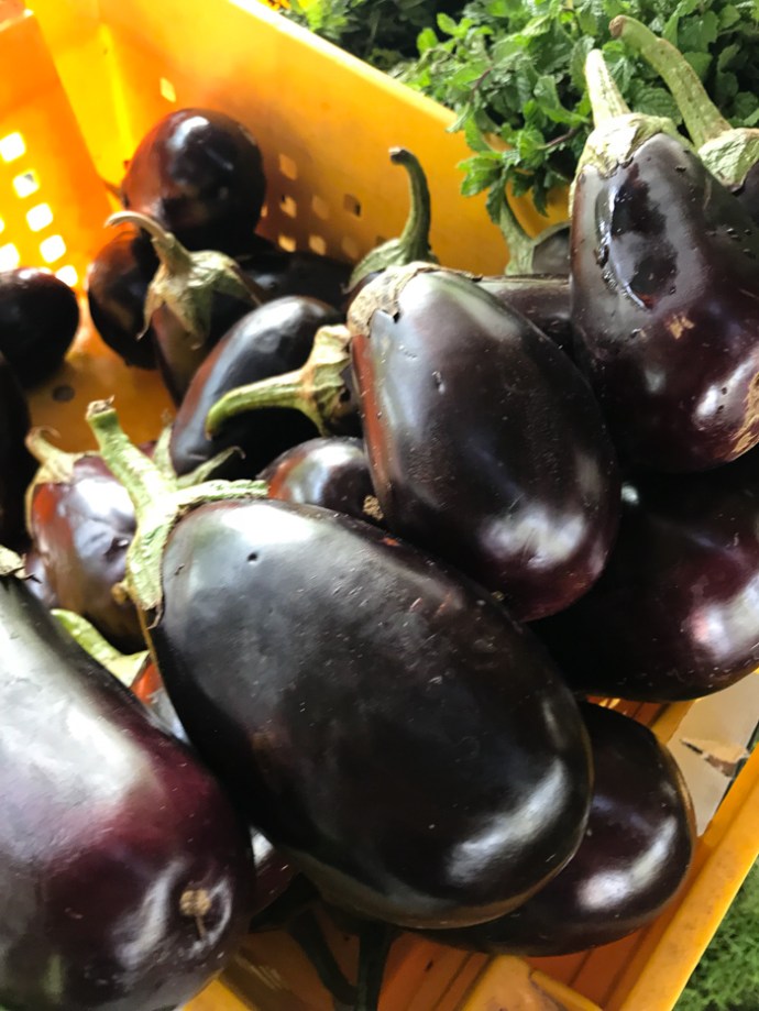 Aubergine - or eggplant Whats in season in the UAE in October