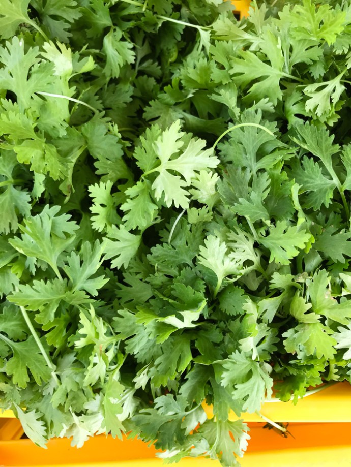 Whats in season in the UAE in October