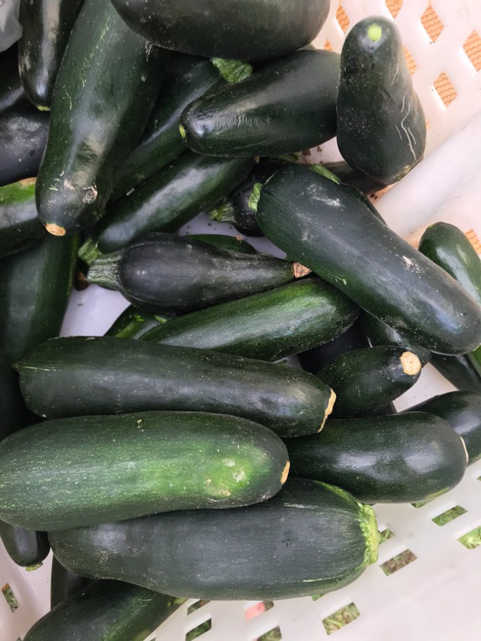 Whats in season in the UAE in October