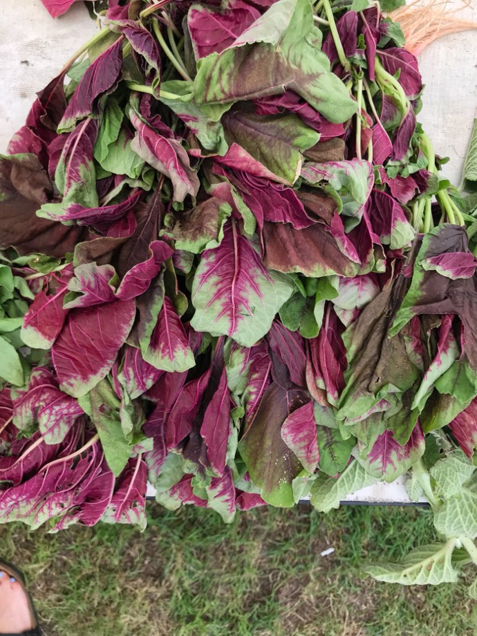 Whats in season in the UAE in October