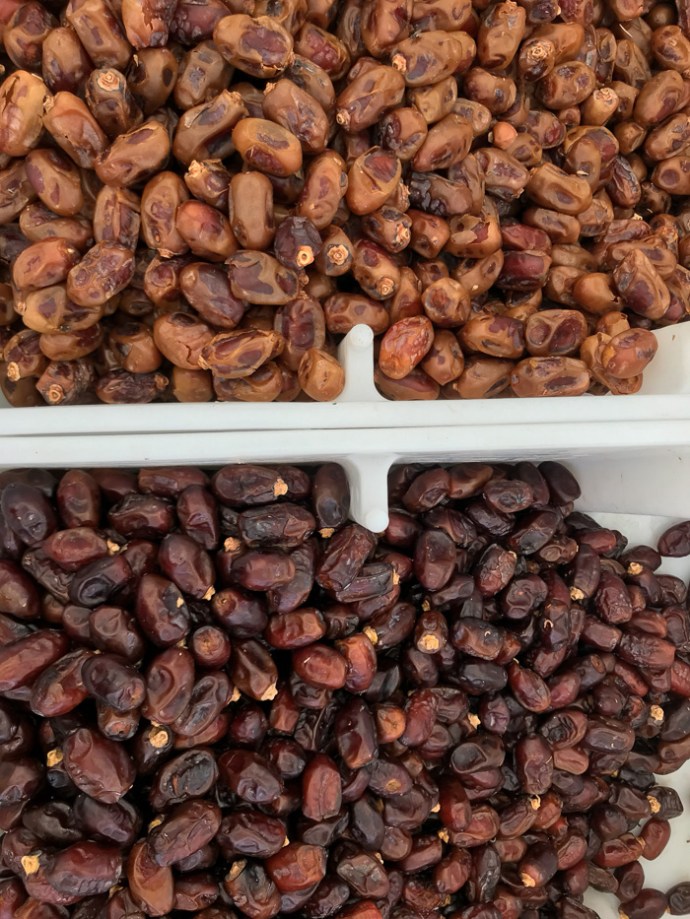 Whats in season in the UAE in October