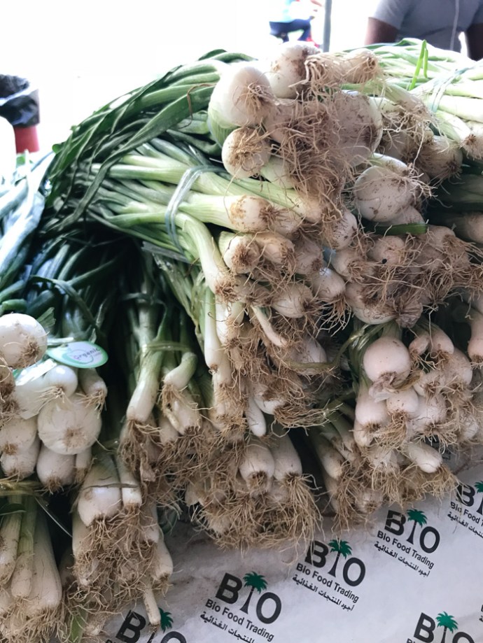 Whats in season in the UAE in October