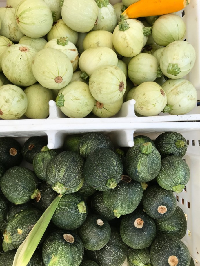 Whats in season in the UAE in October