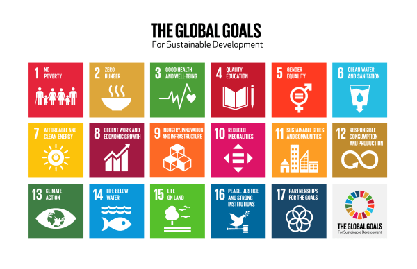 Global goals grid