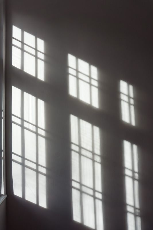 Shadows on a white wall caused by a window