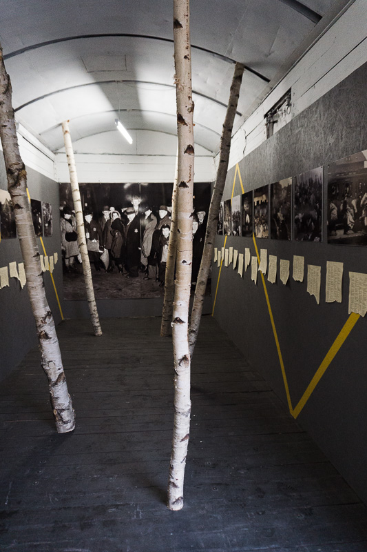 Silver birch branches and black and white pictures inside a a small railway carriage