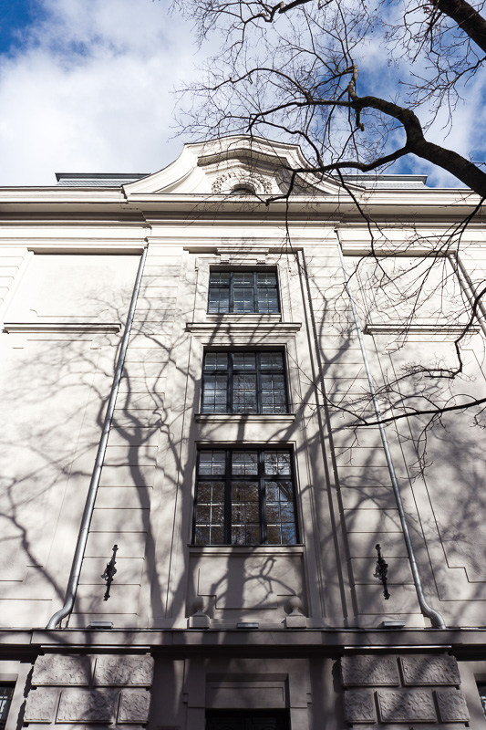 shadows of branches on a building