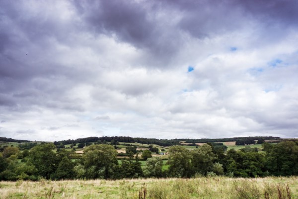 View over field to the Cotswold hills