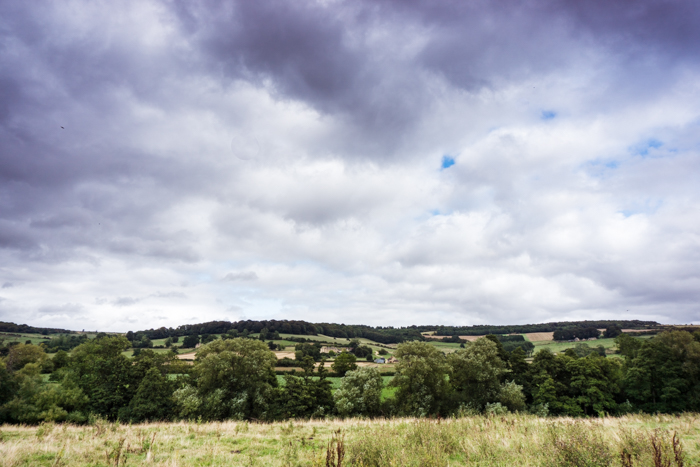 View over field to the Cotswold hills
