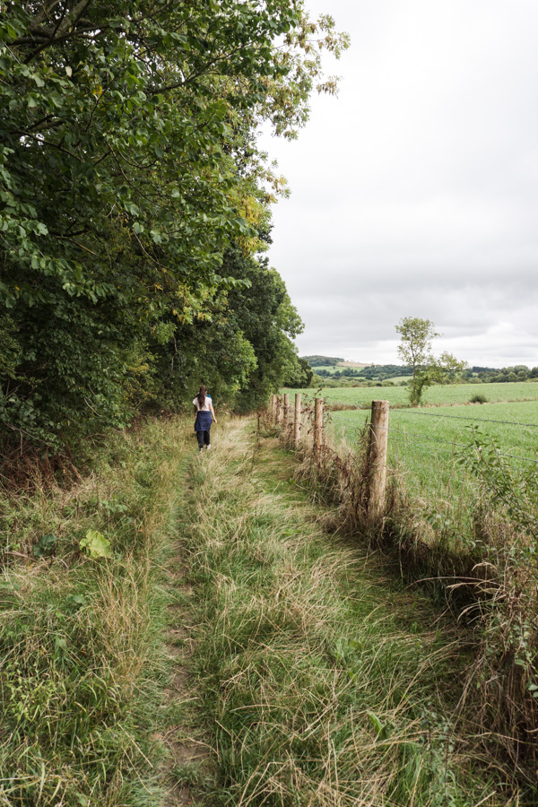 A path along the edge of a wood and field