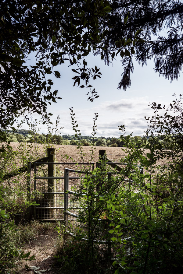 a gater leading into a field