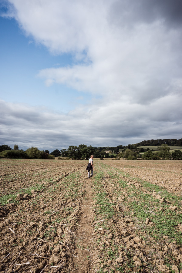 a path across a ploughed field