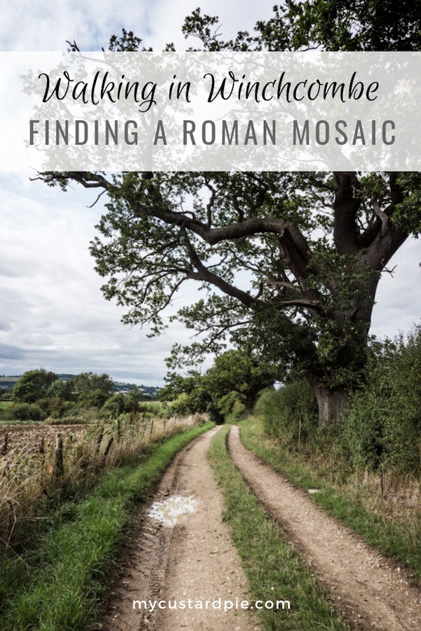 a country lane leading to Winchcombe