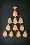 gingerbread_biscuits-5071