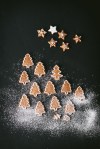 gingerbread_biscuits-5084